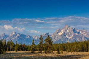 Yellowstone National Park Nature Mountains
