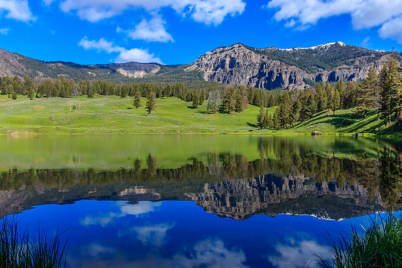 Yellowstone-National-Park