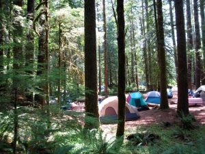 Camping-on-the-Olympic-Peninsula