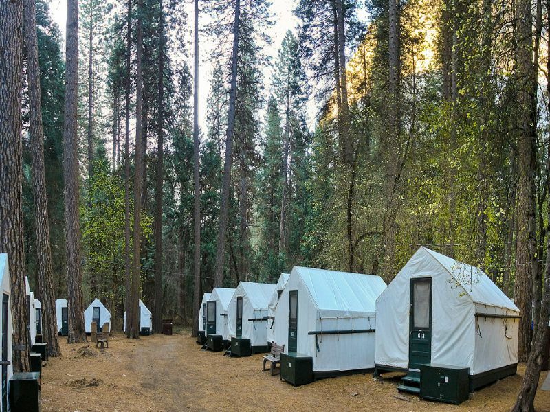 Yosemite-Camping