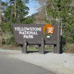 12 Best Campgrounds in Yellowstone National Park